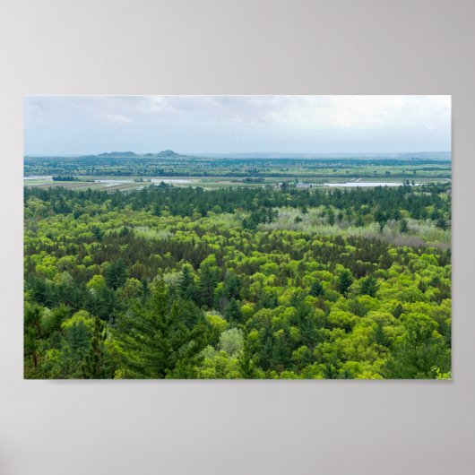 Poster Vue aérienne de la forêt de Black River State (Devant)