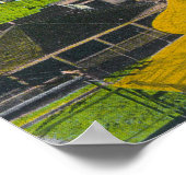 Poster Vue aérienne de la plage PikeLong, CA (Coin)