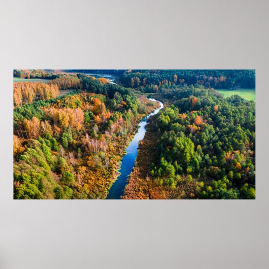 Poster Vue aérienne de la rivière Winny Forêt ensoleillée (Devant)