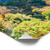 Poster Vue aérienne de la rivière Winny Forêt ensoleillée (Coin)