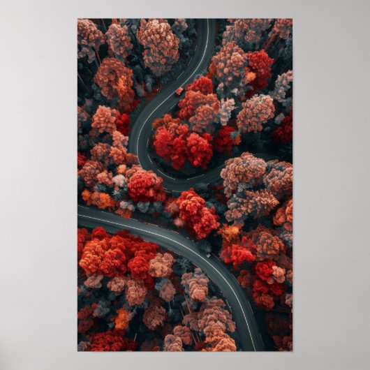 Poster Vue aérienne de la route Winial à travers l'automn (Devant)