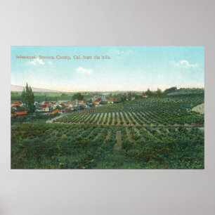 Poster Vue aérienne de la ville, comté de Sonoma depuis l