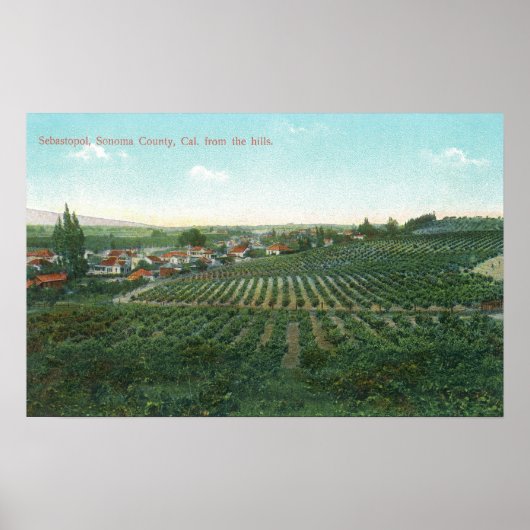 Poster Vue aérienne de la ville, comté de Sonoma depuis l (Devant)