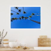 Poster Vue aérienne de palmiers (Cuisine)