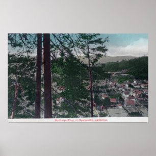 Poster Vue aérienne de TownGuerneville, CA