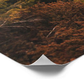 POSTER VUE AÉRIENNE DES CHUTES D'EAU (Coin)