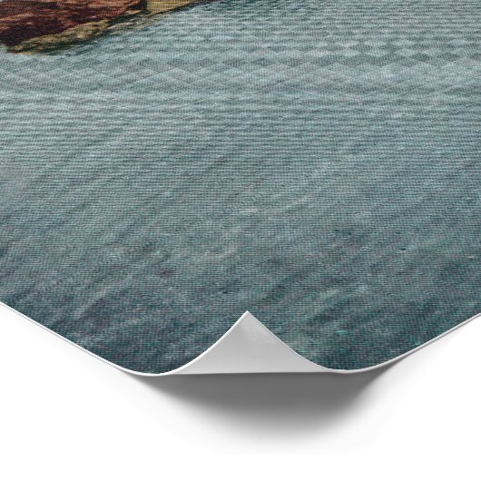 Poster Vue aérienne des chutes et du pont (Coin)