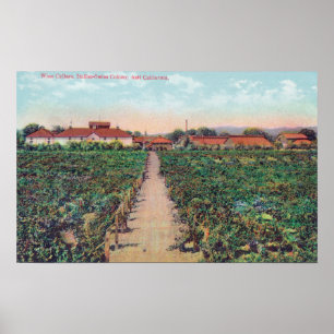 Poster Vue aérienne des vignobles et caves à vin