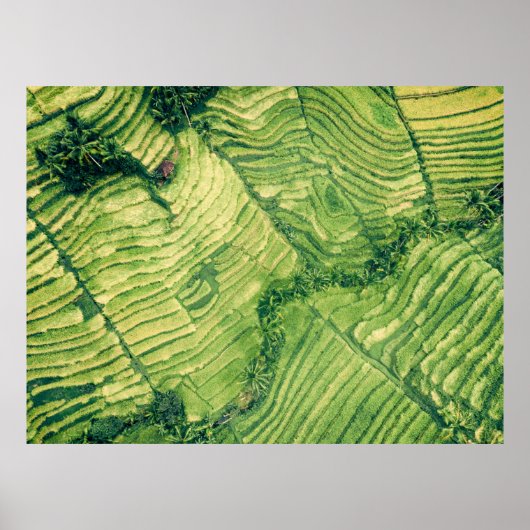 Poster Vue aérienne du champ vert (Devant)
