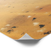 Poster Vue aérienne d'un désert (Coin)