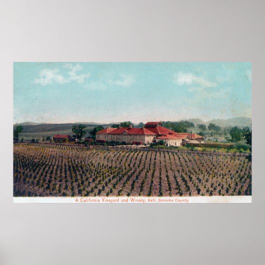 Poster Vue aérienne d'un vignoble et d'un vignoble de Cal (Devant)