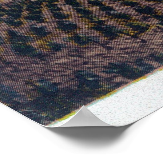 Poster Vue aérienne d'un vignoble et d'un vignoble de Cal (Coin)