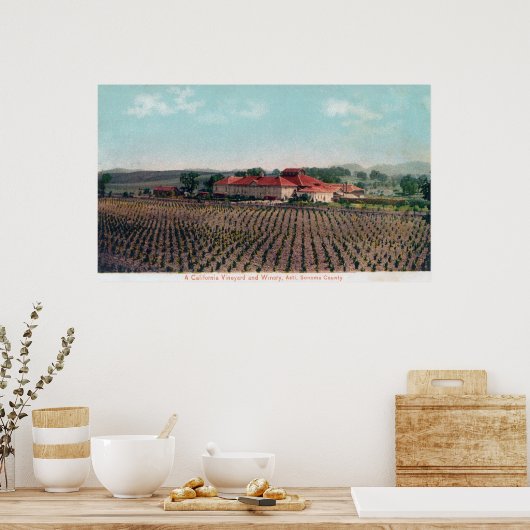 Poster Vue aérienne d'un vignoble et d'un vignoble de Cal (Cuisine)