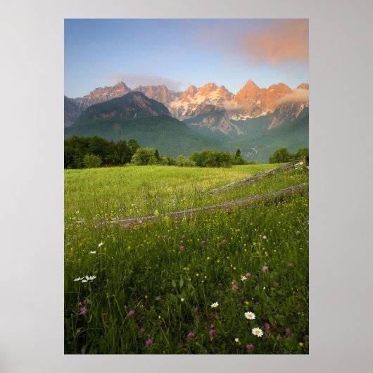 Poster Vue Alpes Julian (Devant)
