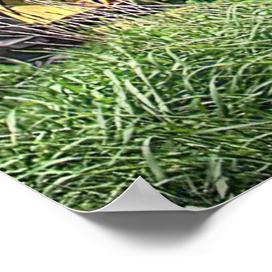 Poster vue arrière (Coin)