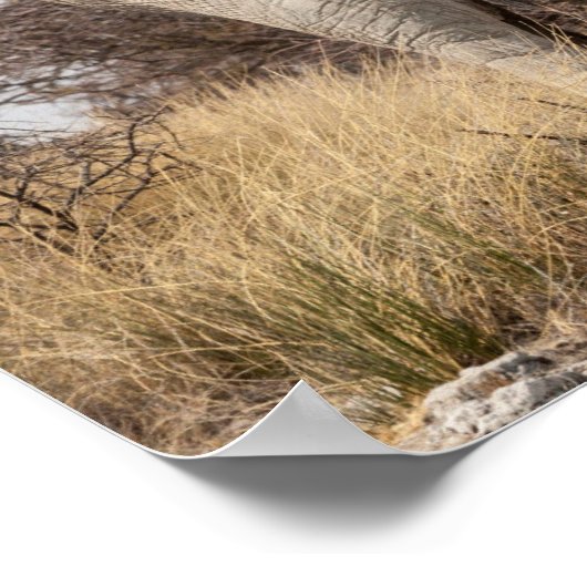 Poster Vue arrière de l'éléphant (Coin)