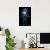 Poster Vue arrière du squelette humain (Bureau à domicile)