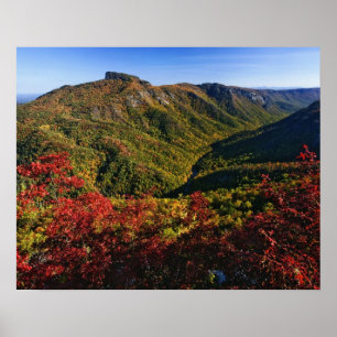 Poster Vue automnale de la gorge de Linville souvent appe
