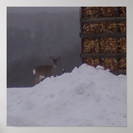 Poster Vue Avant-Cerf À L'Affiche Agricole (Devant)