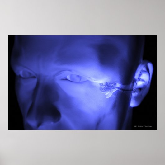 Poster Vue avant de l'oreille interne (Devant)