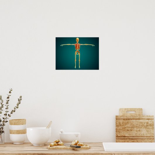 Poster Vue Avant Du Squelette Humain Avec Nerveux (Cuisine)