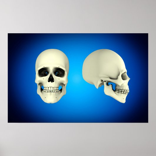 Poster Vue Avant Et Vue De Côté Du Crâne Humain (Devant)