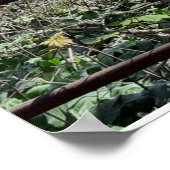 Poster Vue Baie Morecambe (Coin)