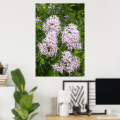 Poster Vue Complète De Cape Chestnut (Bureau à domicile)