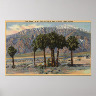 Poster Vue d'ange de Mt. San Jacinto par des palmiers