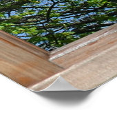 Poster Vue d'arbre feuillu depuis une fenêtre (Coin)