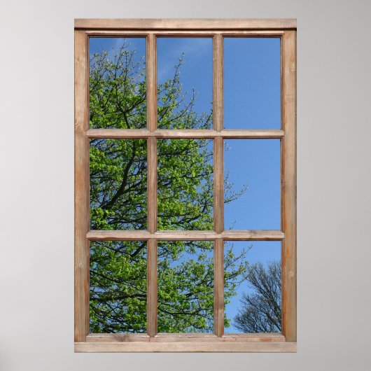 Poster Vue d'arbre feuillu depuis une fenêtre (Devant)