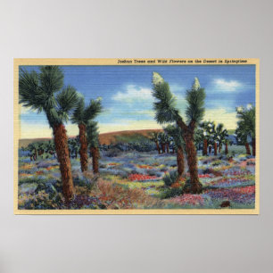 Poster Vue d'arbres de Joshua et de fleurs sauvages de