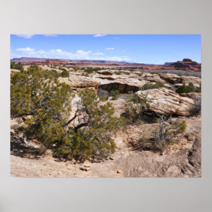 Poster Vue de Canyonlands depuis le sentier de Cave Sprin