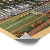 Poster Vue de Colton Hall (Coin)