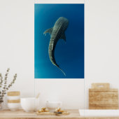 Poster Vue de dessus d'un requin baleine (Cuisine)