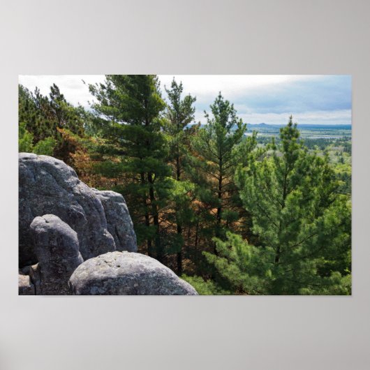Poster Vue de Forest Valley à Castle Mound (Devant)