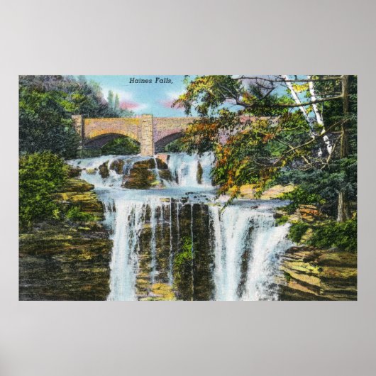 Poster Vue de Haines Falls (Devant)