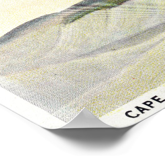 Poster Vue de la Dorothy Bradford Steamer (Coin)