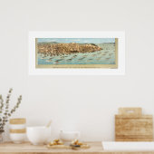 Poster Vue de la flotte dans la baie de San Francisco, (Cuisine)