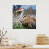 Poster Vue de la grue (Cuisine)