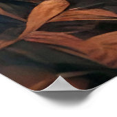 Poster Vue de la Jungle (Coin)