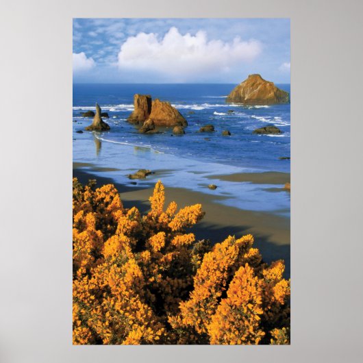 Poster Vue de la plage de l'Oregon à Bandon (Devant)