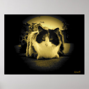 Poster Vue de la souris