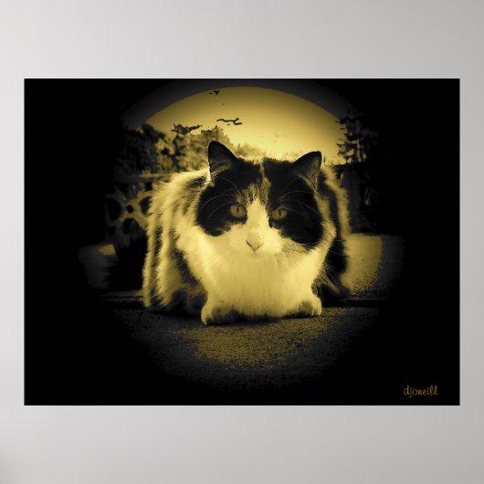 Poster Vue de la souris (Devant)