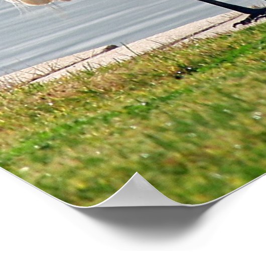 Poster "Vue de l'aigrette" (Coin)