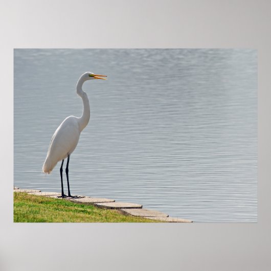 Poster "Vue de l'aigrette" (Devant)