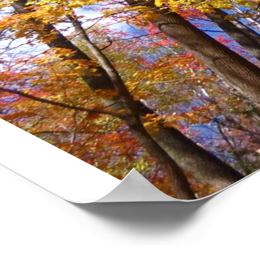 Poster Vue de l'automne (Coin)