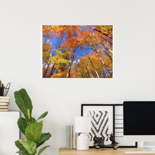 Poster Vue de l'automne (Bureau à domicile)