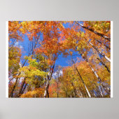 Poster Vue de l'automne (Devant)