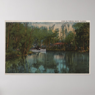 Poster Vue de l'eau de rivière de Tomoka et de marais, la